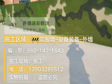 龙潭 迷彩漆喷涂价格（按平方米计费）